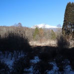 かえるのひとりごと