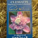 ジョセフィーヌ　クレマチス