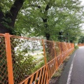 鮎まつりの準備が始まりましたね。