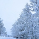 日新運輸株式会社　社長ブログ