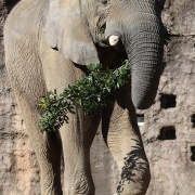 砥夢くんに会いに行ってきた2025