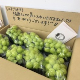 『[イコラブ] イコノイジョイ2023リハ、指原Pより差し入れ【ノイミー、ニアジョイ】』の画像