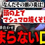トレンドの通り道