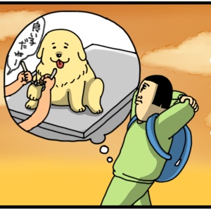 df6c7a55.png