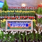 �פ�����ơ֥��������塼��å�🌷 �פȤ��䤹�ߥ��󥰡�Piano Man��