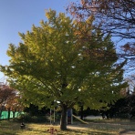 三重県よろずや