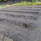 ようやく終わった秋の畑