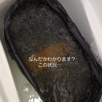   エアーバギーを洗ってみた結果