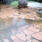 南カリフォルニア暮らしのブログ