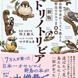 どみなり屋