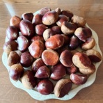 ちゅちゅたんの楽しい毎日