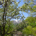 ハンドエス倶楽部