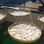 季節の風の中で