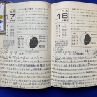 『50年前の星日記：1975年3月17-18日＆水平月の話　2025/03/29』の画像