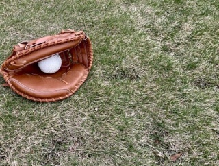 野球の短期決戦って勝ったチームが負けたチームから選手を引き抜けるようにしたら面白そうじゃね？