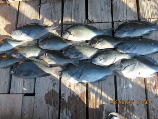 きょうは・・・