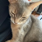 おヒゲが切れてもお毛毛薄くても、かわいいぼくちん