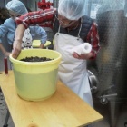 ������磻�ʥ꡼����Ǿ�¤�θ��٤β���