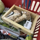 �ؾ����٤β���