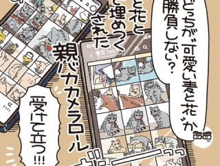 どっちが可愛い？