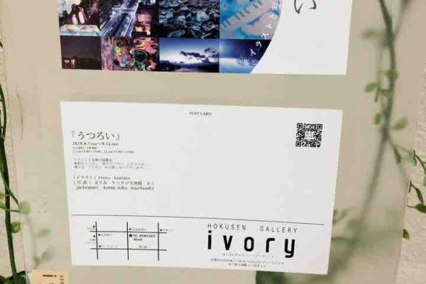 ドルフィンブログ