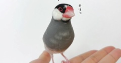 雨ですね……