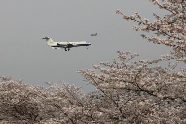 日常と非日常な日々 - 入間基地 通常訓練