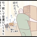 引っ越し準備に沸き立つ飼い猫達は・・・のまき