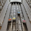 ひさびさの「病気自慢」─IgA血管炎という病