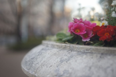 レンズ(単焦点) EBC FUJINON-W 35mm f1.9 M42 EBC FUJINON-W 35mm f1.9(M42) : 会計士によるバリューアップ クラカメ趣味