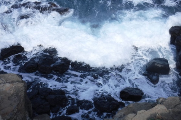 デッドオアアライブ釣行記 磯ヒラスズキ デッドオアアライブ釣行記 磯ヒラスズキ