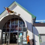 ءڵܾ(д¡Φ)ԡܼ٤β