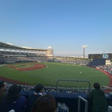 『「推し活」の人々』の画像