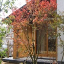 現代住宅植栽考・改訂版　第40回