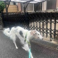 ハッピーバースデー
