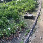 名古屋（の近く）のブログ