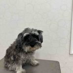 長野県 上田市  ペットショップ             ワンラブ                       アリオ上田店ブログ