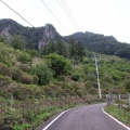 県央某山麓で花探し