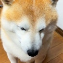 2025年9月末の株式資産額