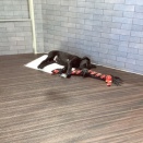 大きな仔もいるよ