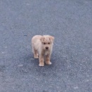 日本义捐基金会2025年第3期教育环境改善资助申报已开始/日本義捐基金會2025年第3期教育環境改善資助申報已開始