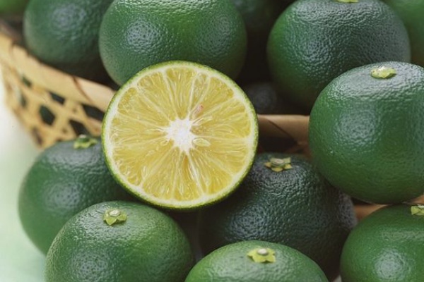 海外の園芸家 日本のスダチという柑橘類を育ててる人はいないだろうか スダチに対する海外の反応 すらるど 海外の反応