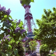 ラッキーライラックを探してね！（札幌創成川沿いの道）