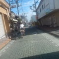 浄瑠璃寺サイクリング