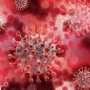 【終わりの始まり】オミクロン株感染者、日本で初確認