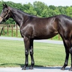 定年後にキャロットライフを楽しむ