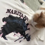 猫だらけ