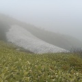 山田峠南の急斜面(先週の隣)を滑りました。