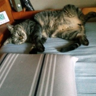 NNE-K.AI（真実の目を求めて）