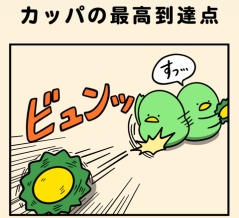 カッパの最高到達点